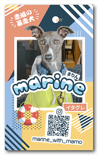 ペット名刺の表面画像