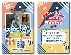 猫（多頭飼い）のペット名刺