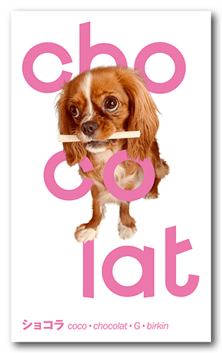 ペット名刺の表面画像