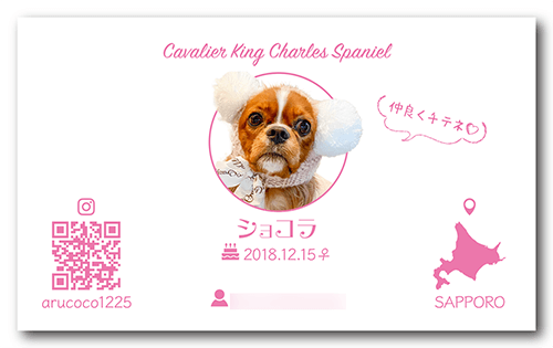 ペット名刺の裏面画像