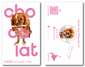 犬の両面ペット名刺