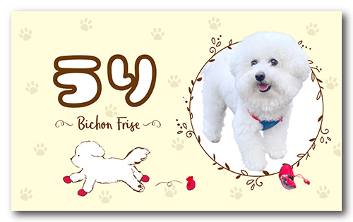 長方形ペット名刺の表面画像