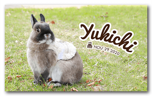 長方形ペット名刺の表面画像