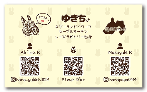 長方形ペット名刺の裏面画像