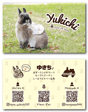 うさぎのペット名刺