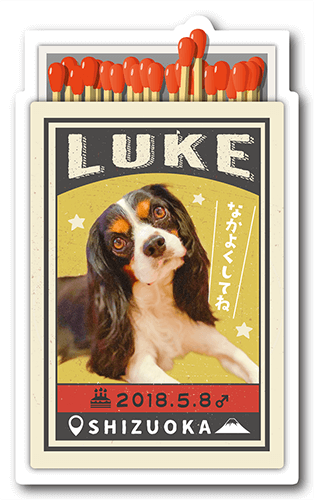 長方形ペット名刺の表面画像