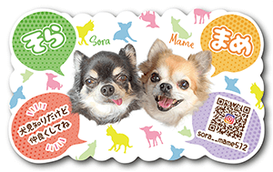 犬の型抜きペット名刺