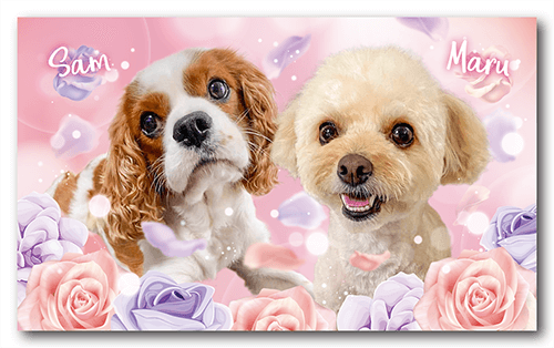 長方形ペット名刺の表面画像