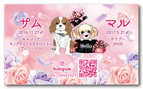長方形ペット名刺の裏面画像