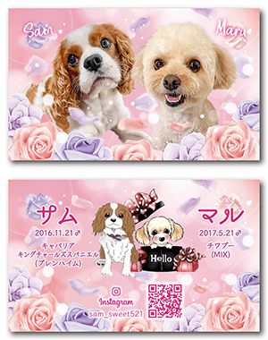 犬（多頭飼い）のペット名刺