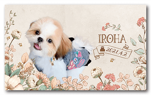 長方形ペット名刺の表面画像