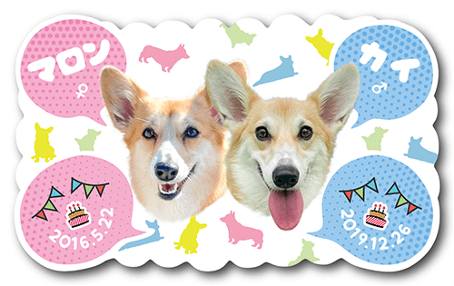 型抜きペット名刺の表面画像