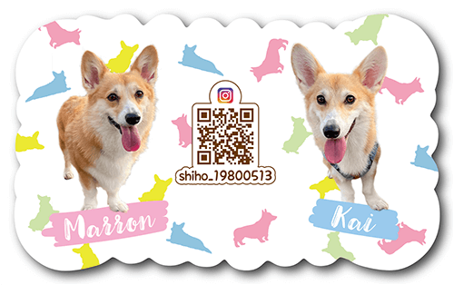 型抜きペット名刺の裏面画像