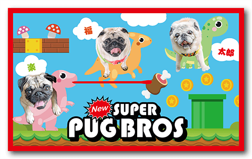 長方形ペット名刺の表面画像