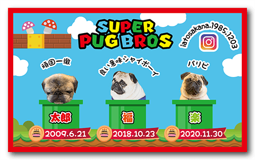 長方形ペット名刺の裏面画像