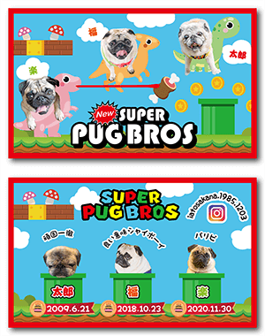 うさぎのペット名刺