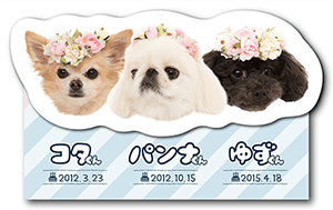 うさぎのペット名刺