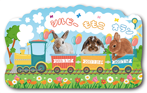 型抜きペット名刺の表面画像