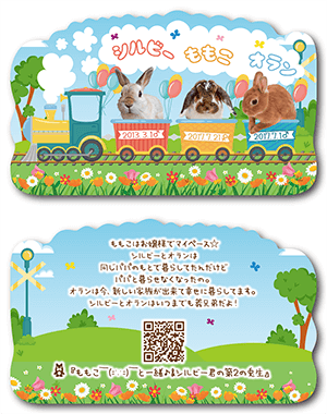 うさぎ（多頭飼い）のペット名刺