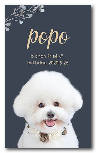 ペット名刺の表面画像