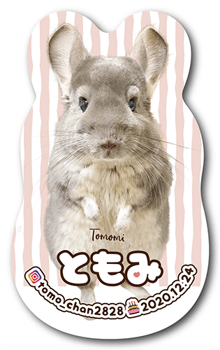 長方形ペット名刺の表面画像