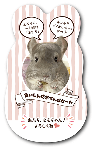 長方形ペット名刺の裏面画像