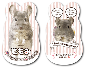 犬のペット名刺