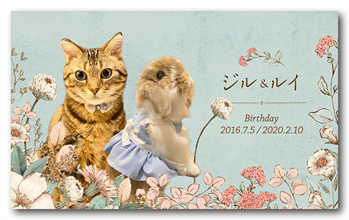 長方形ペット名刺の表面画像