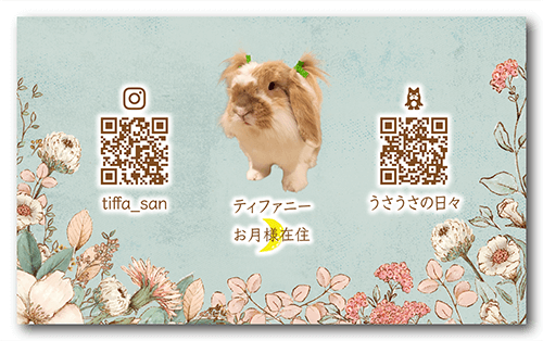 長方形ペット名刺の裏面画像