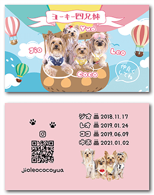 うさぎのペット名刺