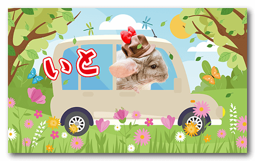 長方形ペット名刺の表面画像