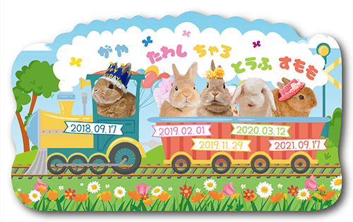 型抜きペット名刺の表面画像