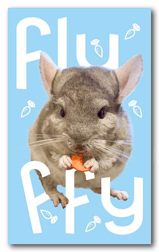 ペット名刺の表面画像