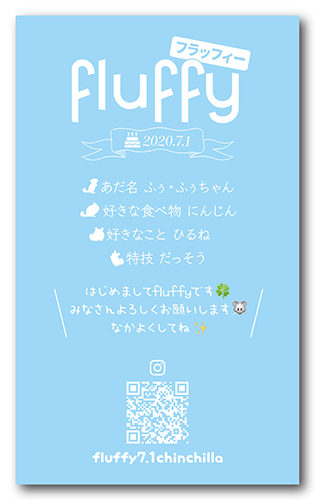 ペット名刺の裏面画像