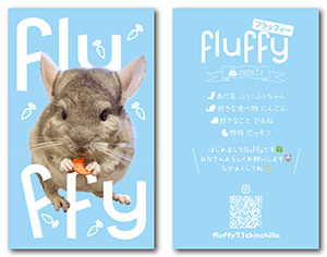 犬の両面ペット名刺