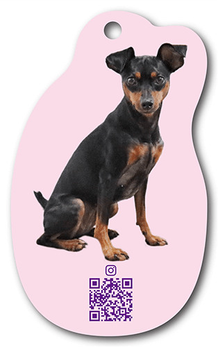 型抜きペット名刺の裏面画像