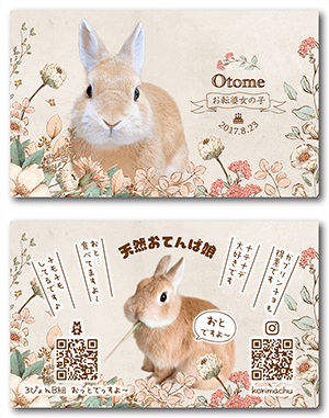 チンチラ（多頭飼い）のペット名刺