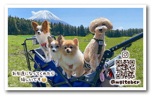 長方形ペット名刺の表面画像