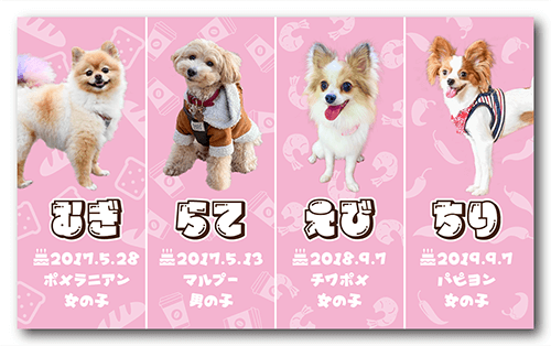 長方形ペット名刺の裏面画像