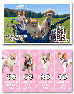 うさぎのペット名刺