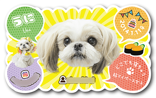 型抜きペット名刺の表面画像