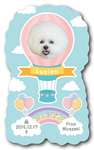 型抜きペット名刺の表面画像