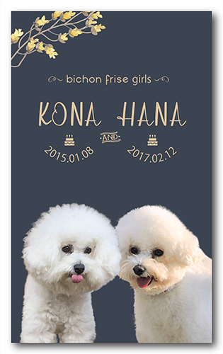 ペット名刺の表面画像