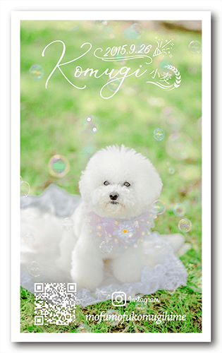 犬の長方形ペット名刺画像