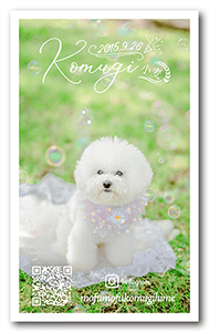 犬のペット名刺