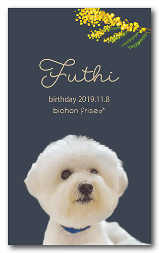 ペット名刺の表面画像