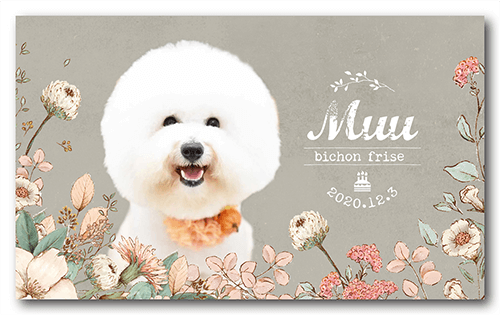 長方形ペット名刺の表面画像