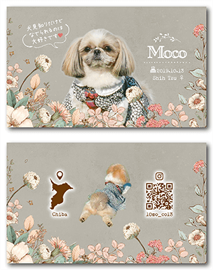 犬のペット名刺
