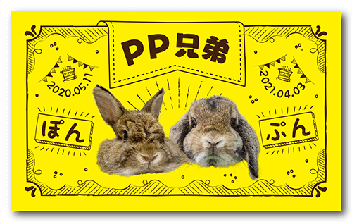 長方形ペット名刺の表面画像