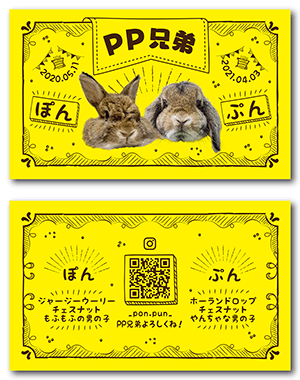 うさぎのペット名刺